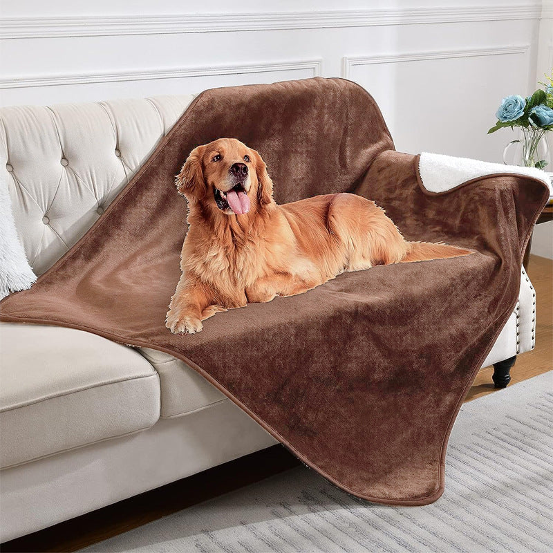 Navy sherpa pet blanket on a cream sofa
